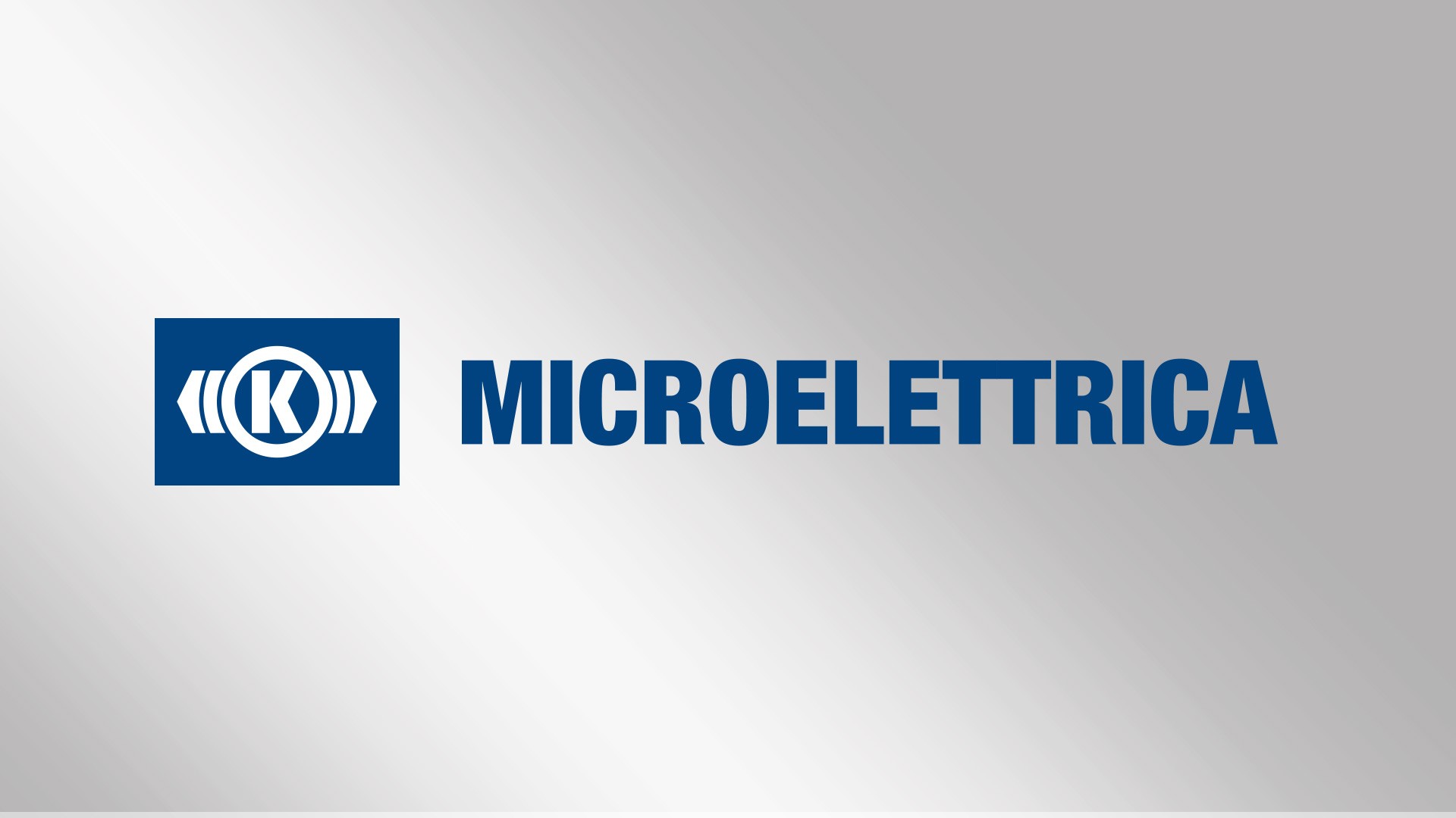 Microelettrica logo on silver background.