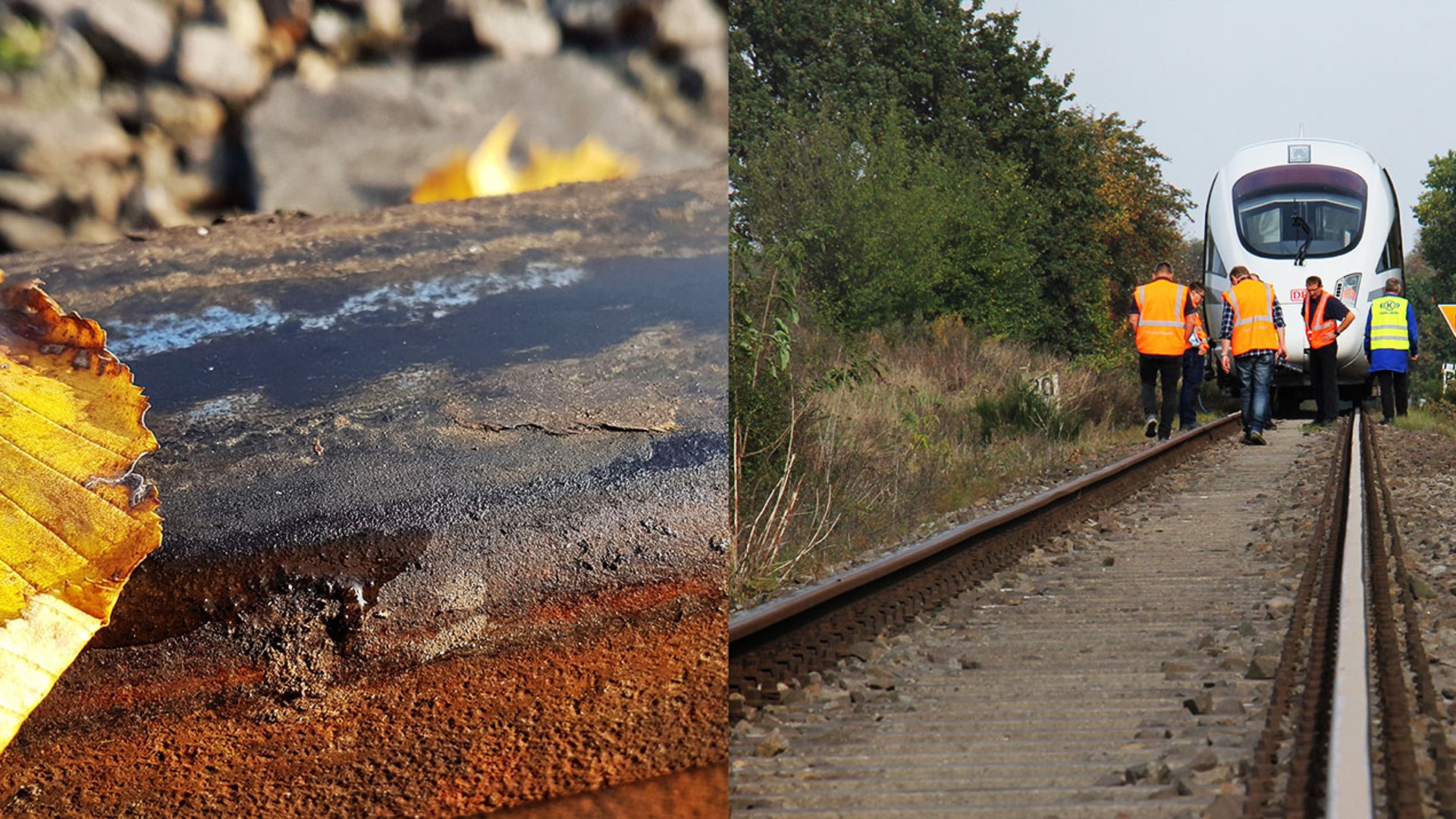 Yellow leaf on rusted railway track