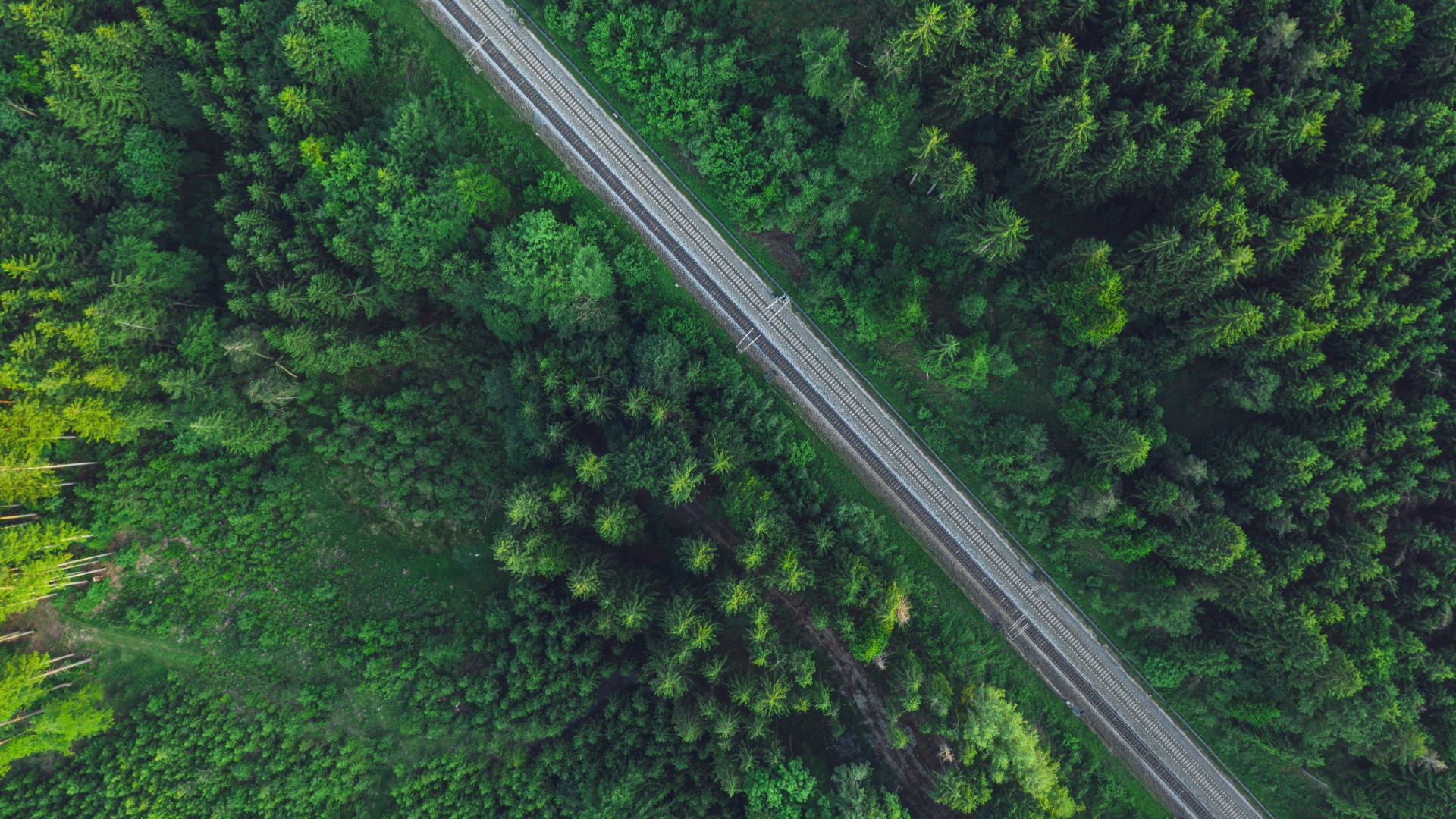 Aerial view of train tracks through dense