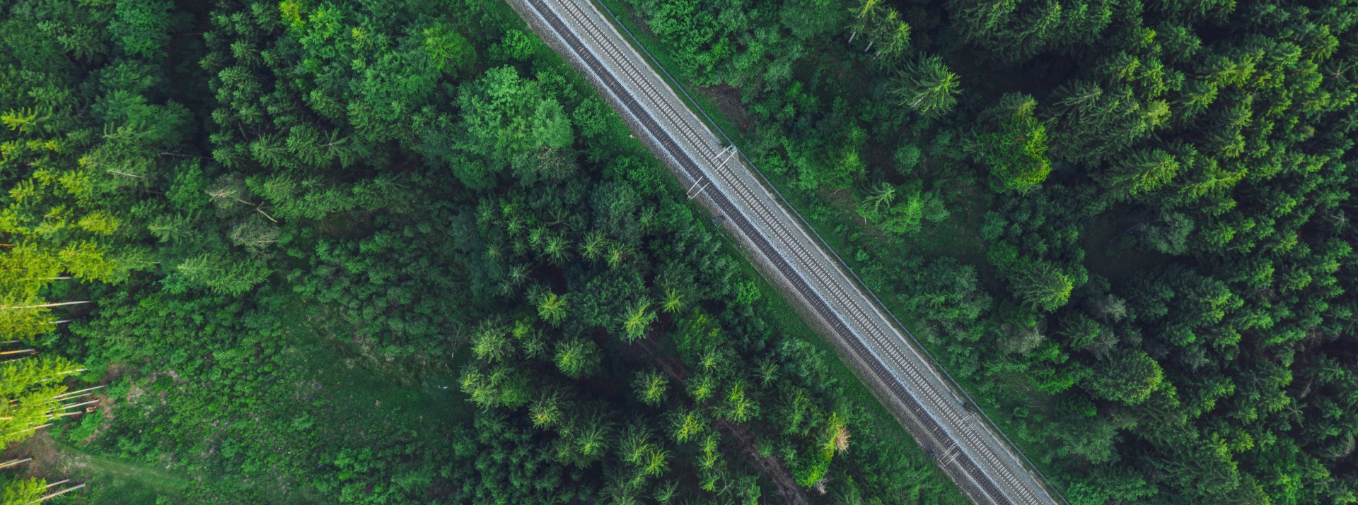 Aerial view of train tracks through dense