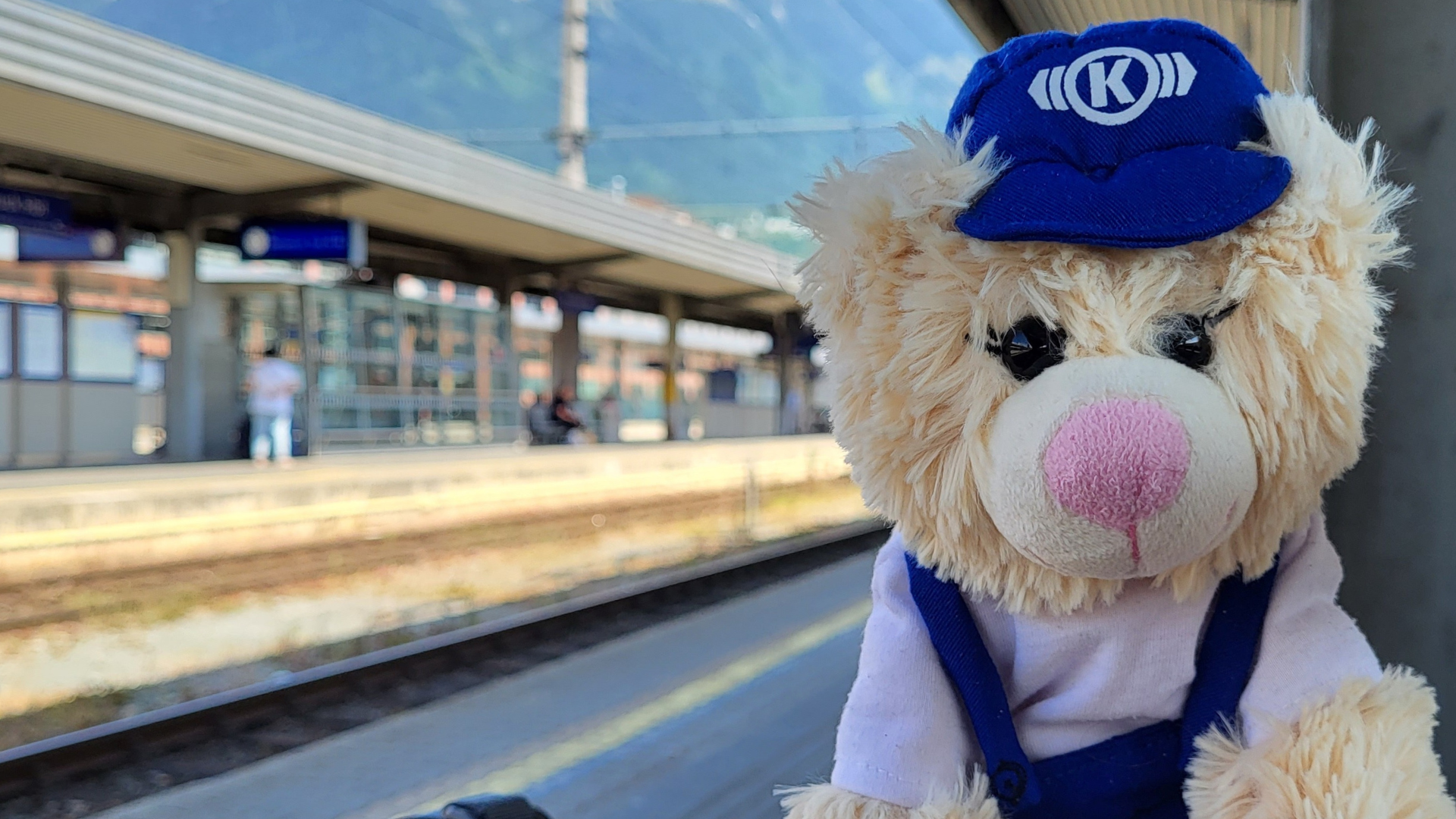 Teddy bear wearing blue cap and overalls