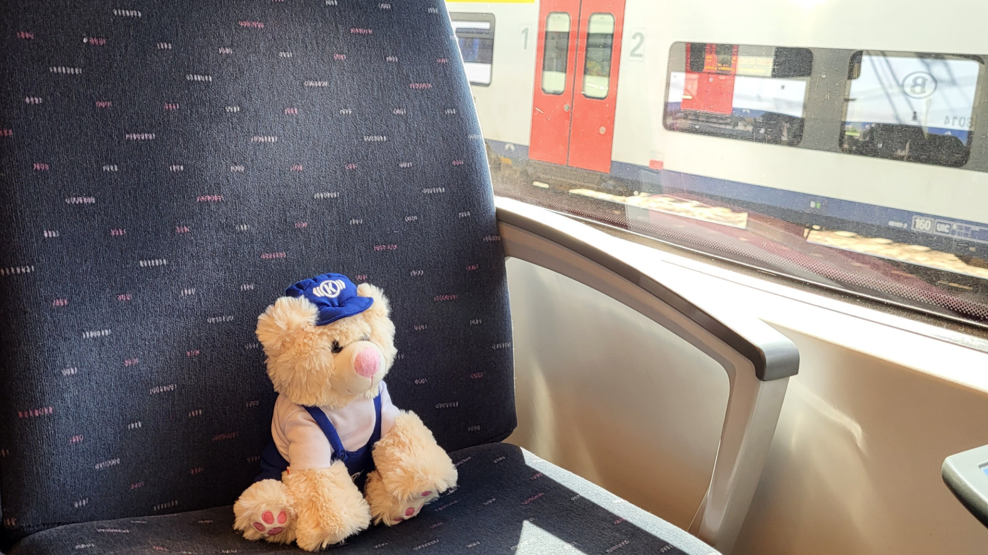Knorr-Berta sitting on a seat in a train in Belgium