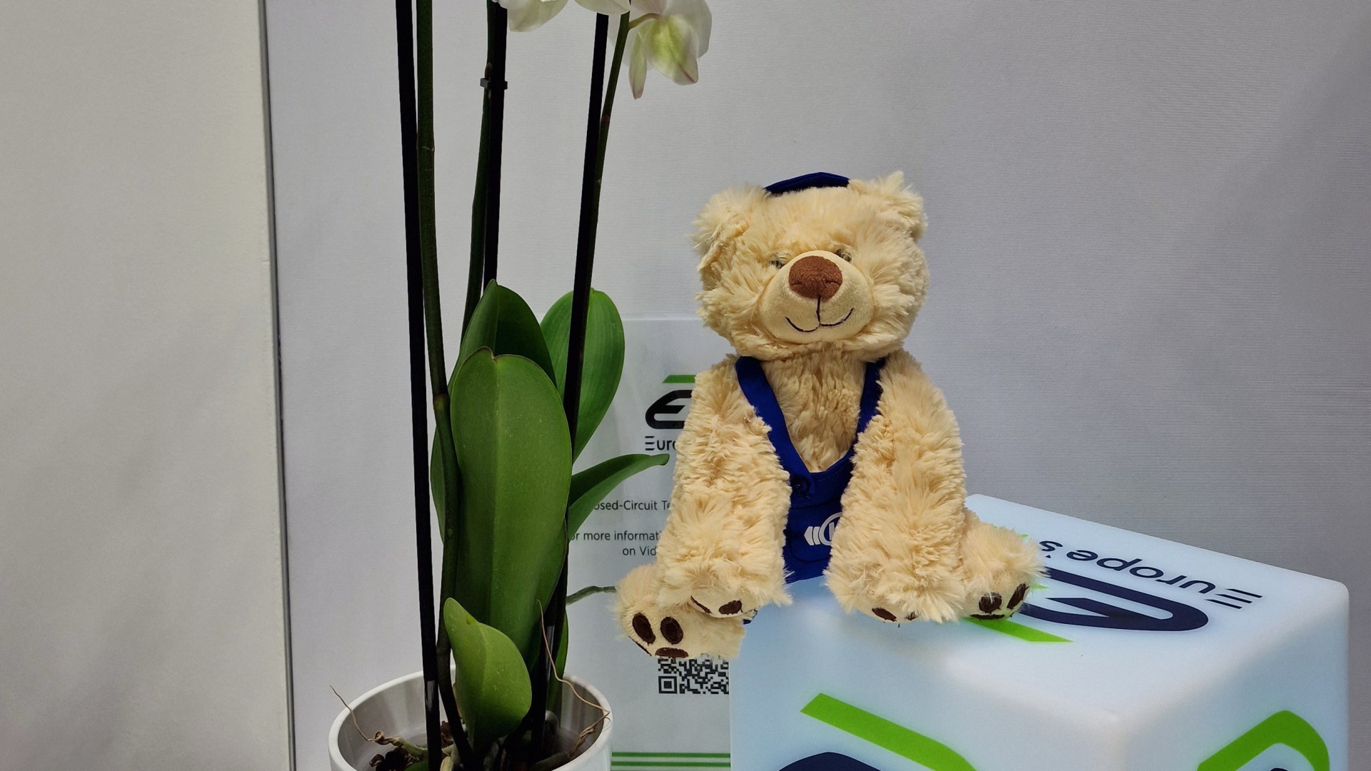 Orchidee, Teddybär, Europe's Rail Logo, Messestand-Dekoration.