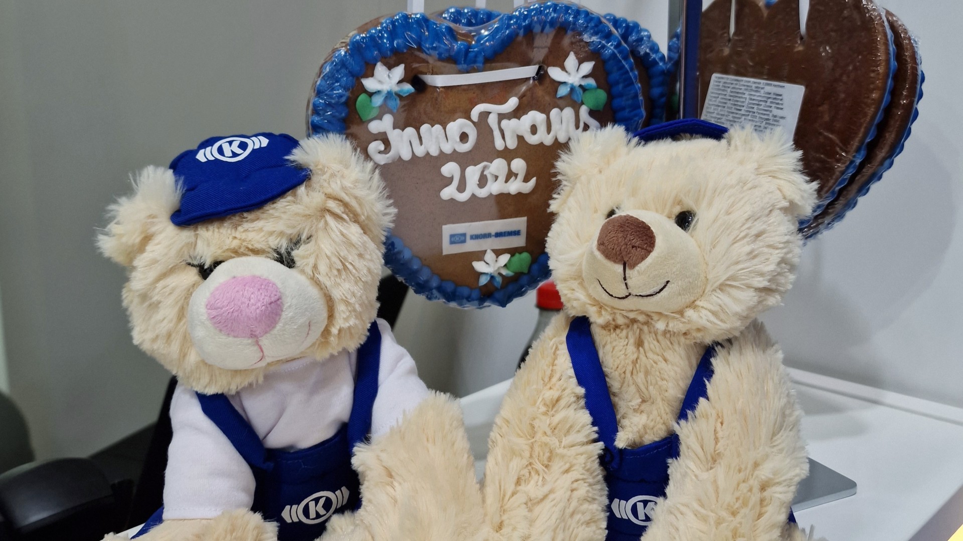 Zwei Teddybären mit Kapuzenmützen und Tracht.