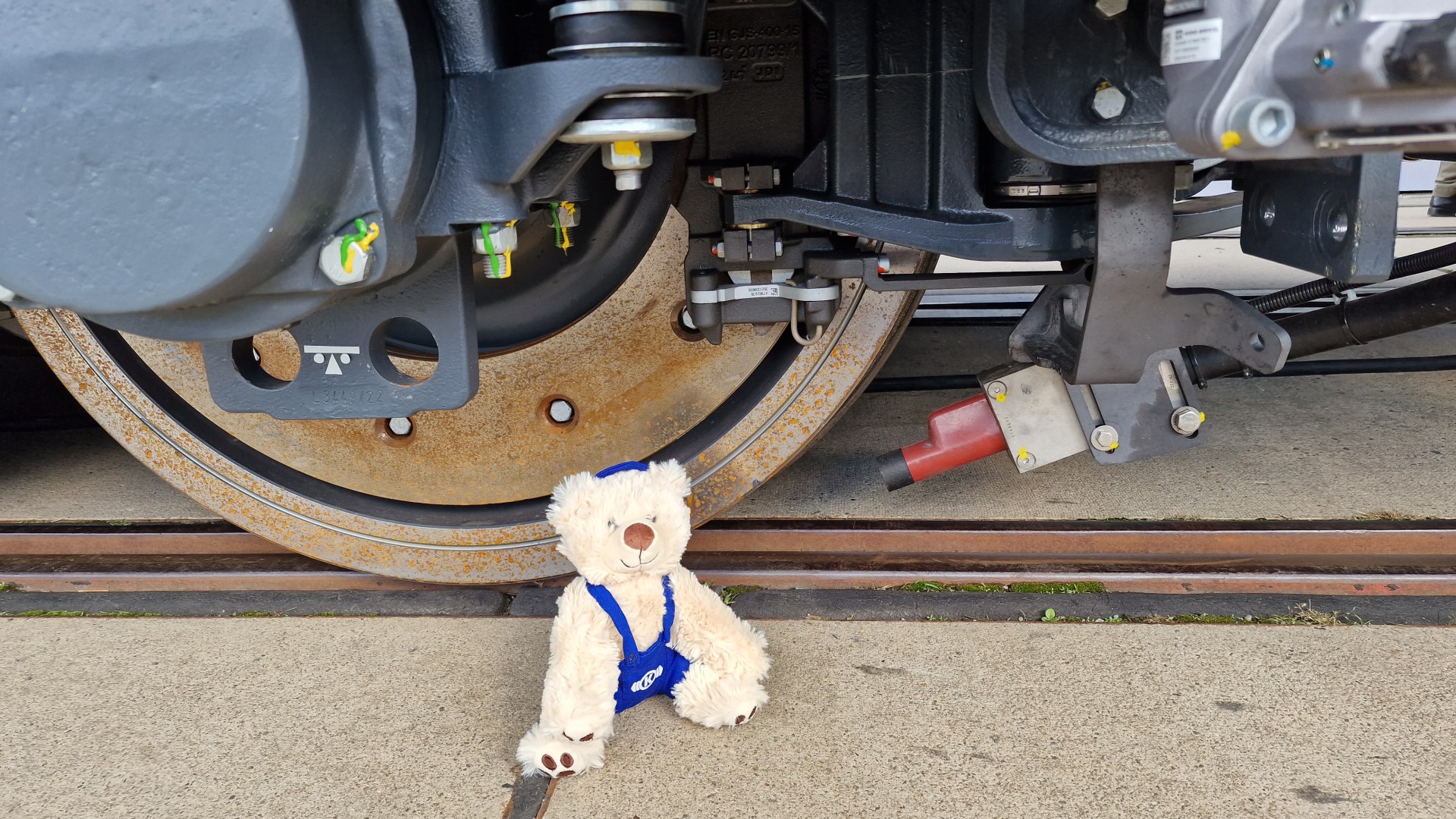 Bärchen vor Eisenbahntechnik und Radkomponenten.