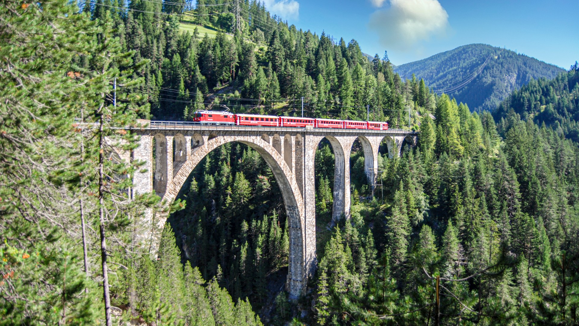 Train crossing a bridge in a forest