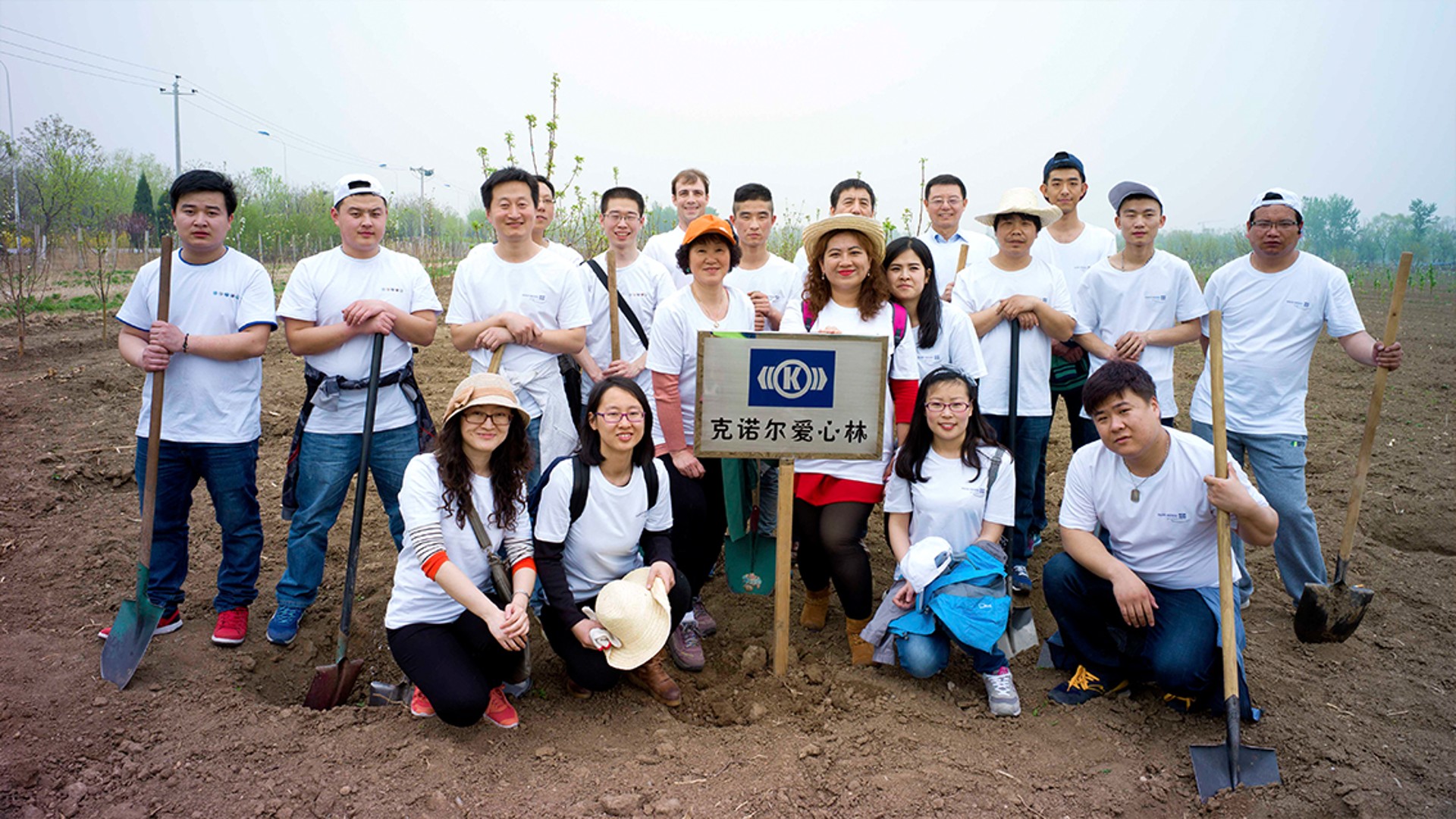 Group of volunteers planting trees outdoors