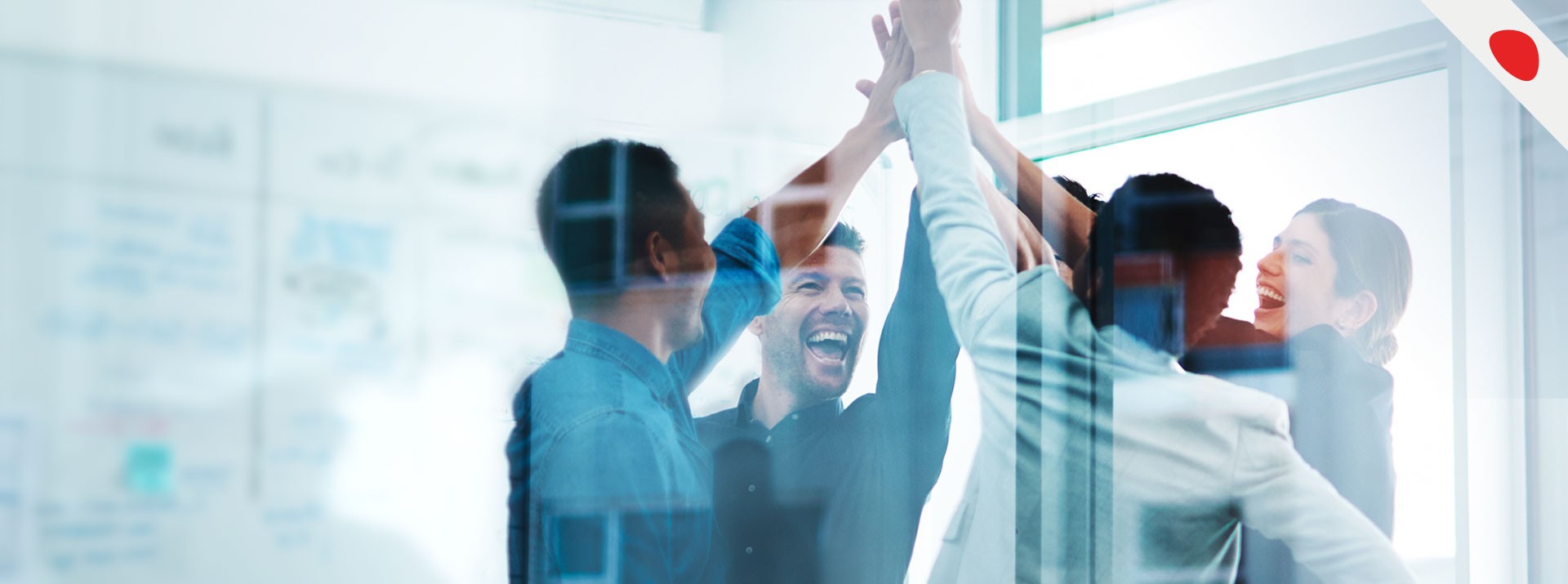 Team celebrating success with high-fives and smiles.