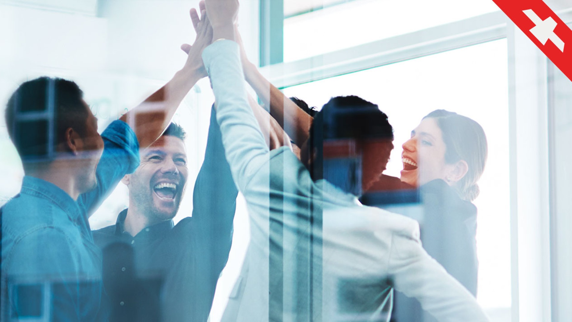 Team celebrating success with high-fives indoors.