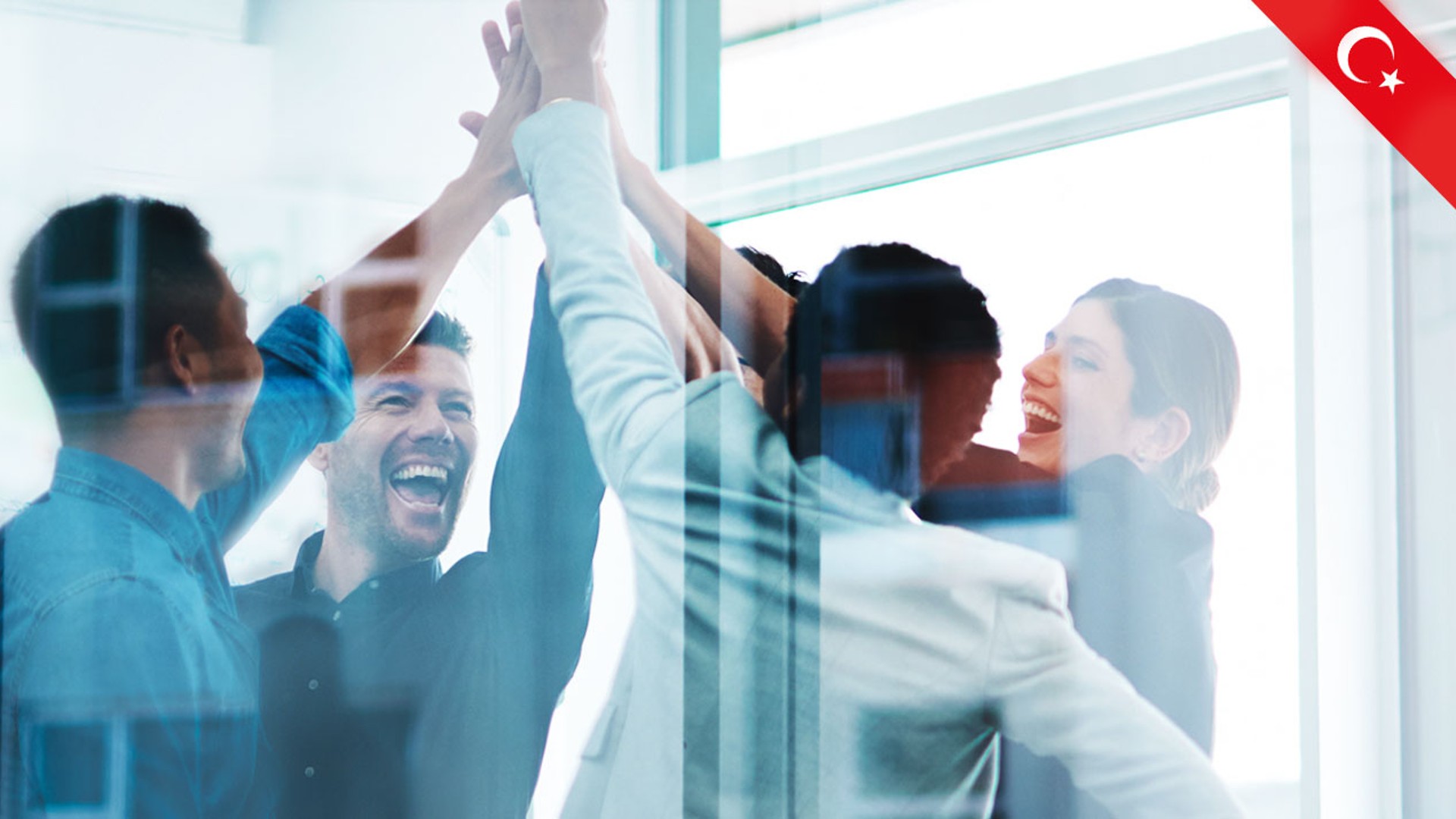 Group of professionals celebrating teamwork success.