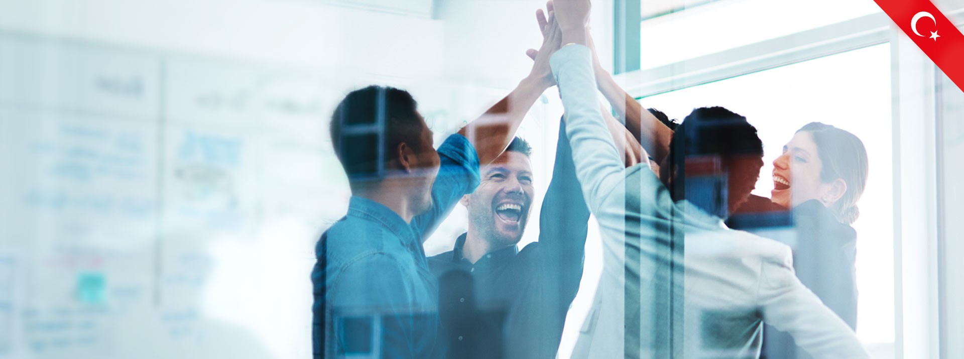 Group of professionals celebrating teamwork success.