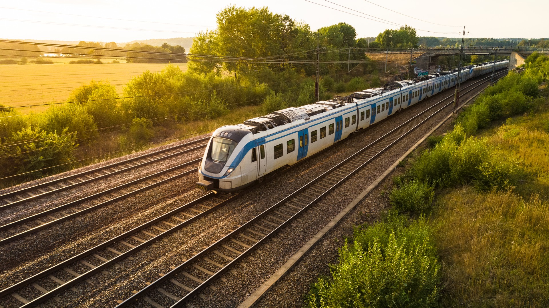 Train traveling through summer landscape