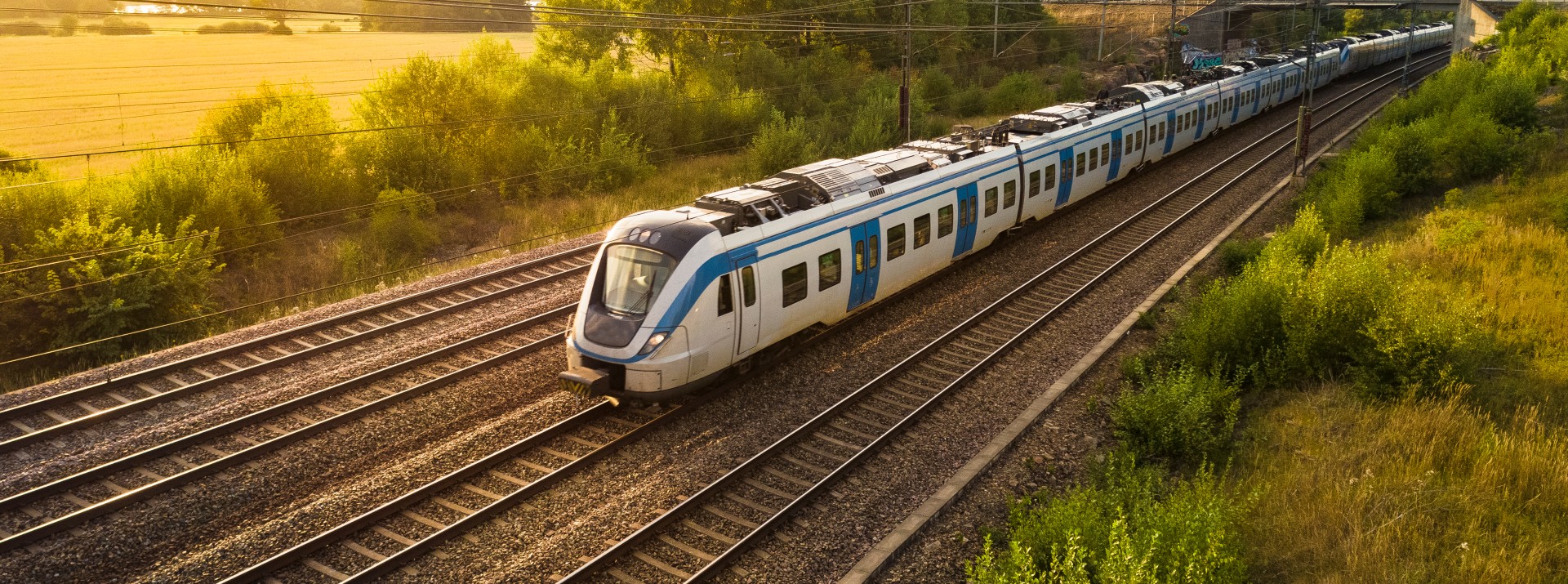 Train traveling through summer landscape